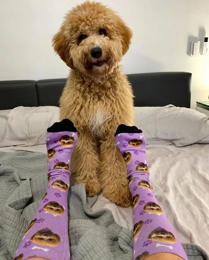 Mascota 1