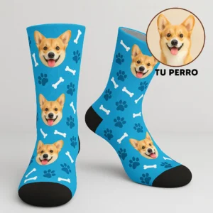 Tu perro en tus calcetines